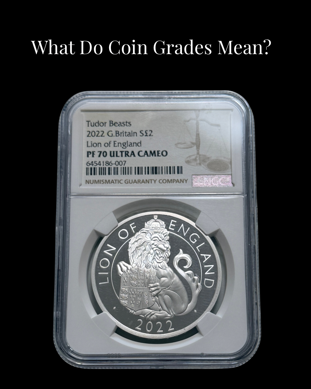 Certified coins showing coin grades such as PF, AU, and numeric grades used in numismatic grading.